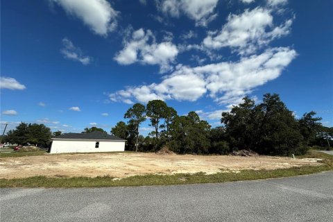Terrain à Kissimmee, Floride № 2161581