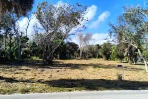 Land in St. Lucie, Florida № 2081466 - photo 5