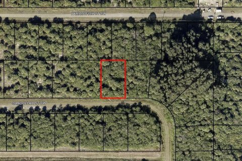 Land in Palm Bay, Florida № 2160475 - photo 2