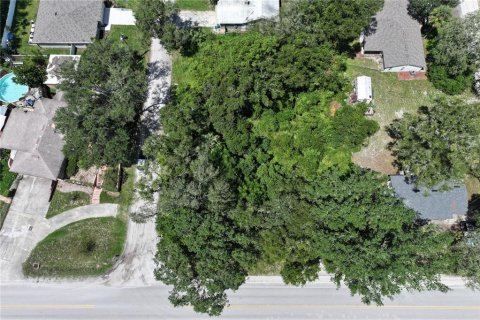 Terreno en venta en Orange City, Florida № 2165800 - foto 2