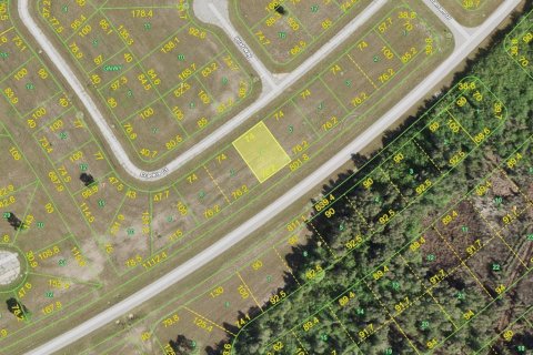 Land in Placida, Florida № 2165826
