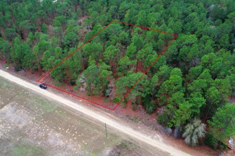 Terrain à vendre à Ocala, Floride № 1678474 - photo 3