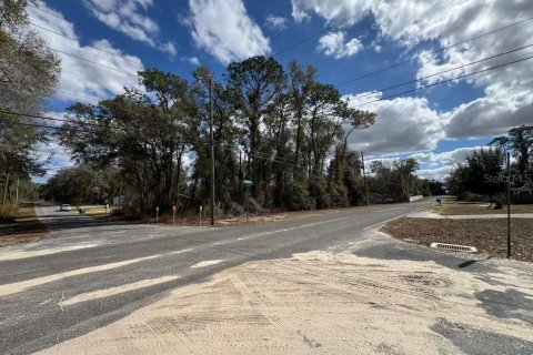 Land in Inverness, Florida № 2162500 - photo 7