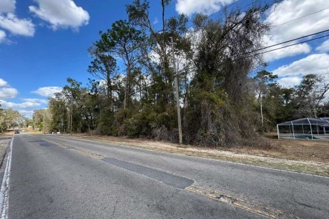 Land in Inverness, Florida № 2162500 - photo 14