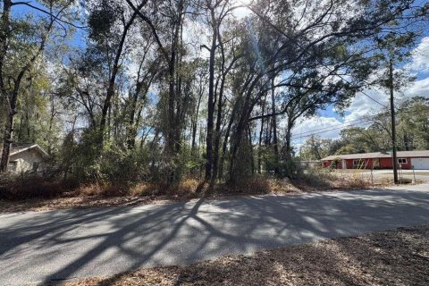Land in Inverness, Florida № 2162500 - photo 9