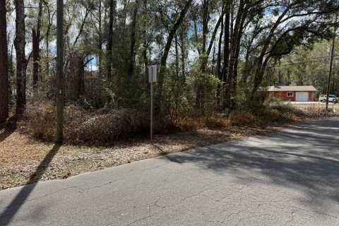 Land in Inverness, Florida № 2162500 - photo 13