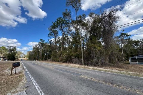 Land in Inverness, Florida № 2162500 - photo 12