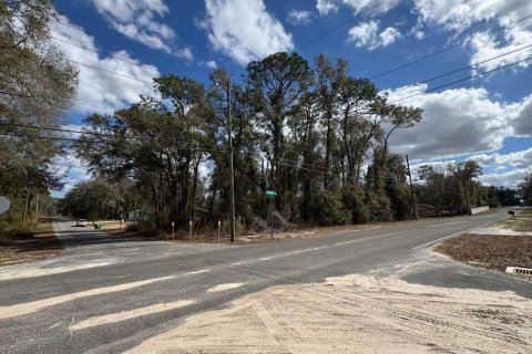 Land in Inverness, Florida № 2162500 - photo 2