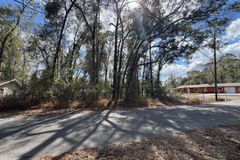 Land in Inverness, Florida № 2162500 - photo 4