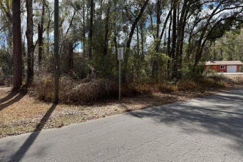 Land in Inverness, Florida № 2162500 - photo 11