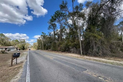 Land in Inverness, Florida № 2162500