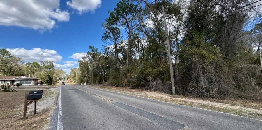 Land in Inverness, Florida № 2162500