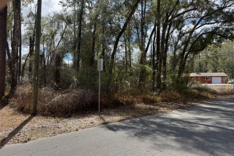 Land in Inverness, Florida № 2162500 - photo 6