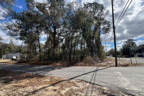 Land in Inverness, Florida № 2162500 - photo 3