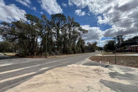 Land in Inverness, Florida № 2162500 - photo 5