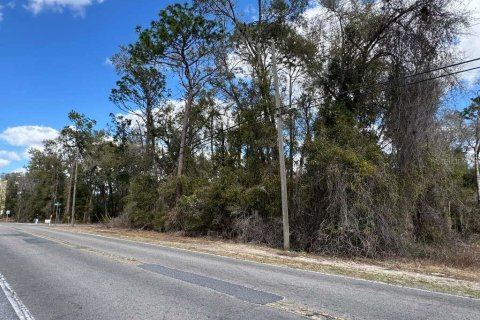 Land in Inverness, Florida № 2162500 - photo 8