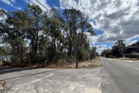 Land in Inverness, Florida № 2162500 - photo 10
