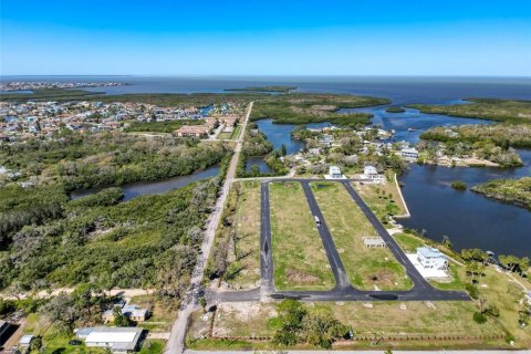 Land in New Port Richey, Florida № 1580523 - photo 7