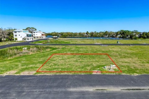 Land in New Port Richey, Florida № 1580523 - photo 4