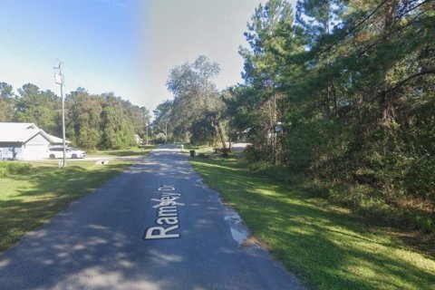 Land in Melrose, Florida № 2165630 - photo 2