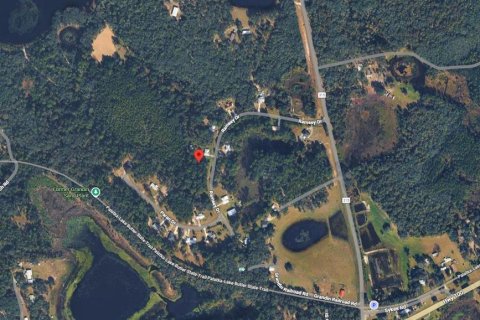 Land in Melrose, Florida № 2165630 - photo 3