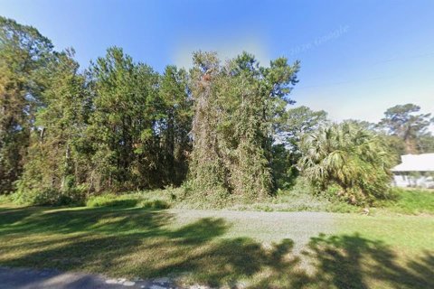 Land in Melrose, Florida № 2165630