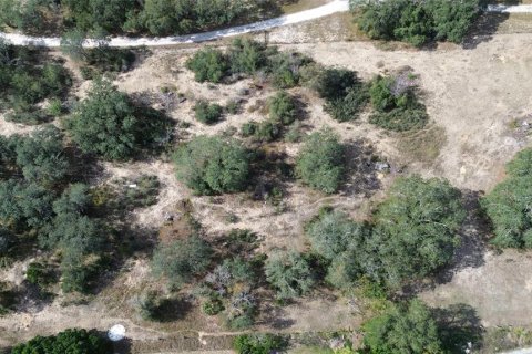 Land in Haines City, Florida № 2104239 - photo 4