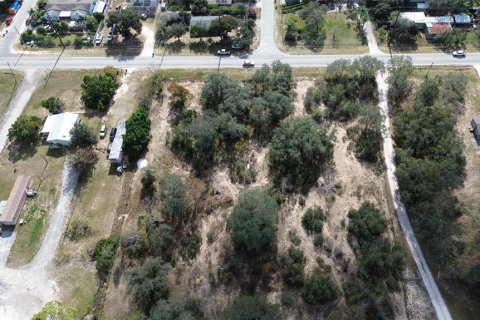 Land in Haines City, Florida № 2104239 - photo 5