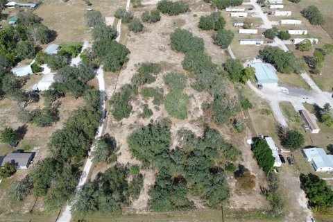 Land in Haines City, Florida № 2104239 - photo 8