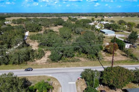 Land in Haines City, Florida № 2104239 - photo 3