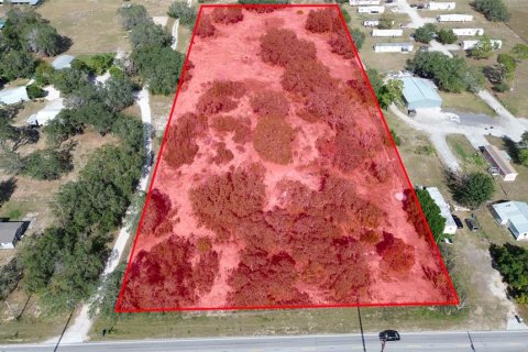 Land in Haines City, Florida № 2104239 - photo 2