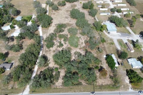 Land in Haines City, Florida № 2104239 - photo 7