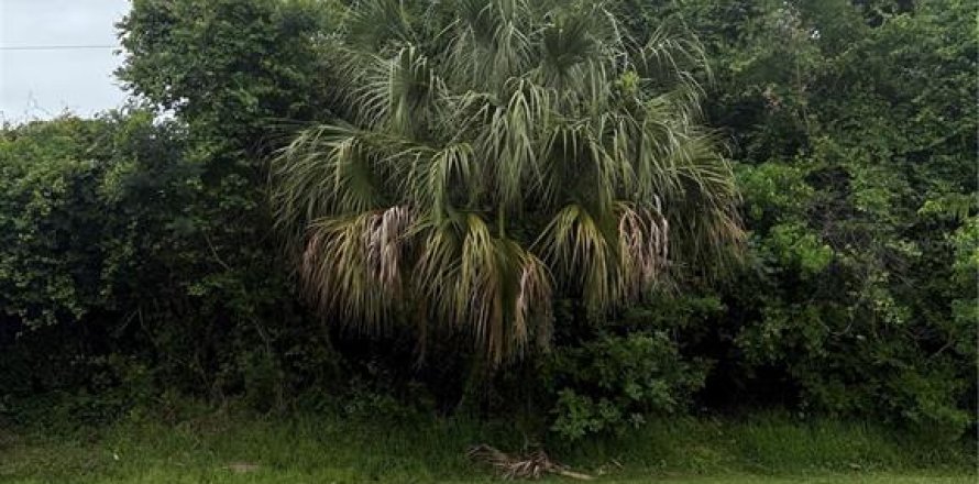 Terrain à Palm Coast, Floride № 2218766