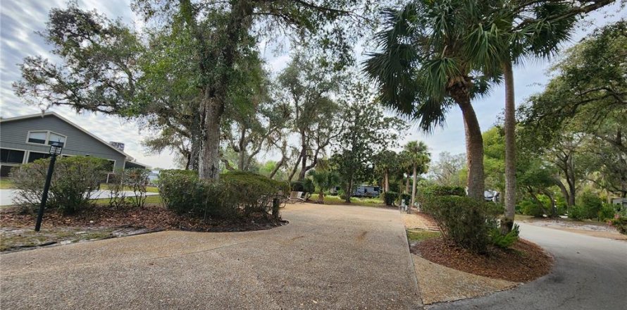 Terreno en Lake Wales, Florida № 1534296