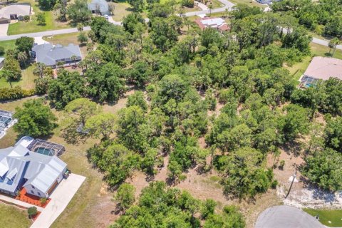 Land in Punta Gorda, Florida № 1679860 - photo 3