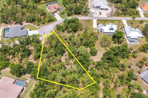 Land in Punta Gorda, Florida № 1679860 - photo 2