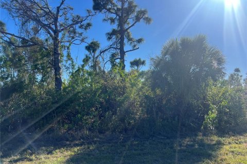 Land in Port Charlotte, Florida № 2161852 - photo 2