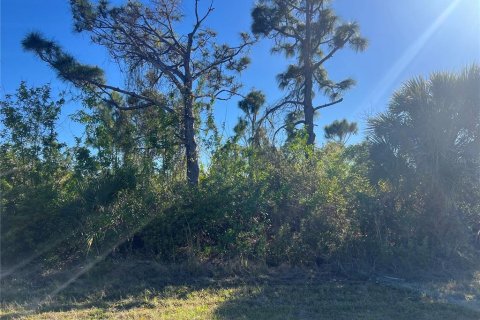 Land in Port Charlotte, Florida № 2161852 - photo 4