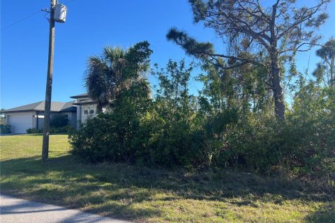 Land in Port Charlotte, Florida № 2161852 - photo 3
