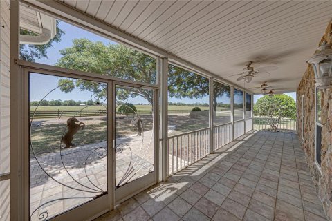 Villa ou maison à vendre à Dade City, Floride: 7 chambres, 549.42 m2 № 2122446 - photo 10