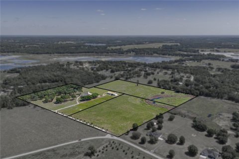 Villa ou maison à vendre à Dade City, Floride: 7 chambres, 549.42 m2 № 2122446 - photo 5