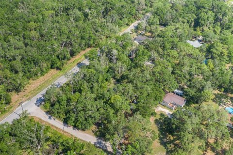 Land in Spring Hill, Florida № 1740424 - photo 2