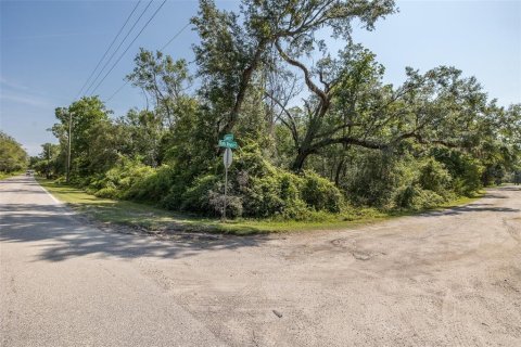 Land in Spring Hill, Florida № 1740424 - photo 12