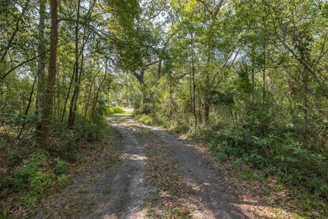 Land in Spring Hill, Florida № 1740424 - photo 9
