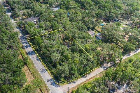 Land in Spring Hill, Florida № 1740424 - photo 1