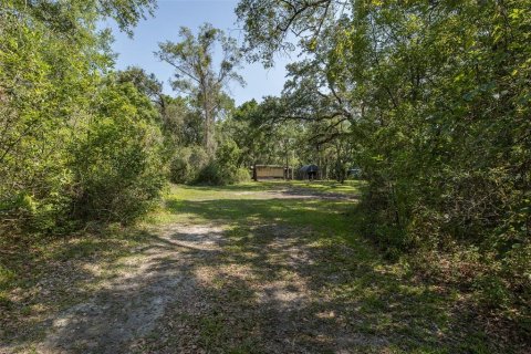 Land in Spring Hill, Florida № 1740424 - photo 4