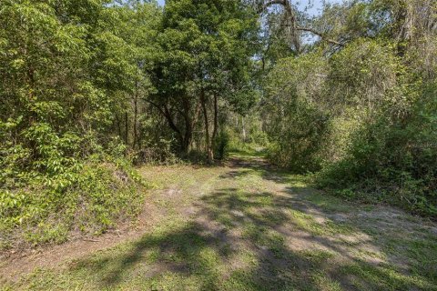 Land in Spring Hill, Florida № 1740424 - photo 6