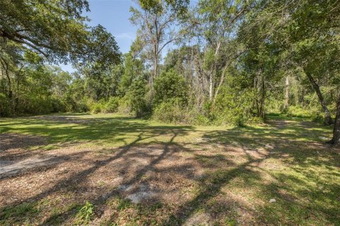 Land in Spring Hill, Florida № 1740424 - photo 7