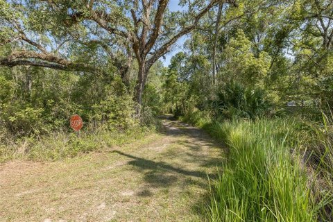 Land in Spring Hill, Florida № 1740424 - photo 10