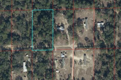 Land in Bronson, Florida № 2165226 - photo 2